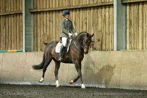 Isis Dressage Crown Farm Show 29th April 2012